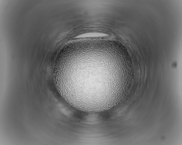 X0000090450609200707272217