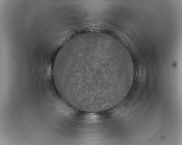 X0000090450610200707272217