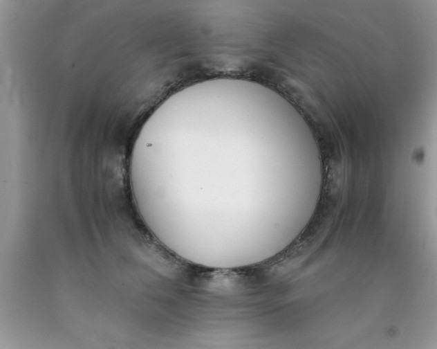 X0000090450612200707272217