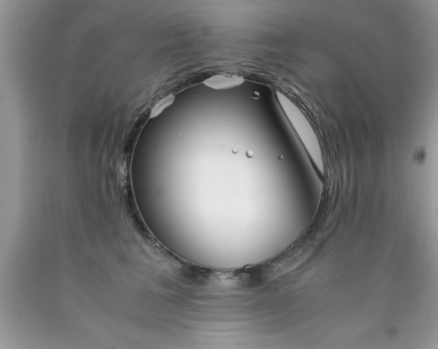 X0000090450613200707272217