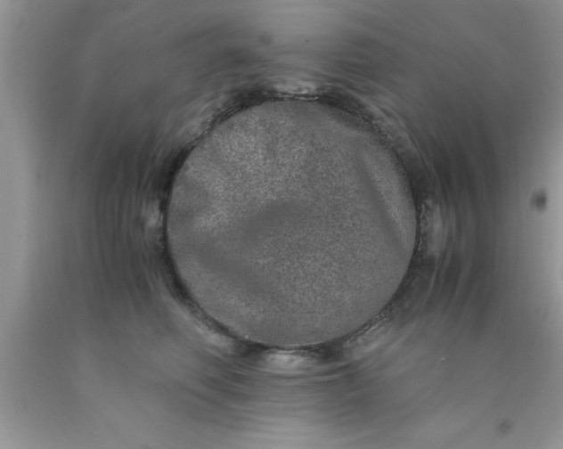 X0000090450614200707272217