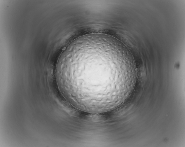 X0000090450615200707272217