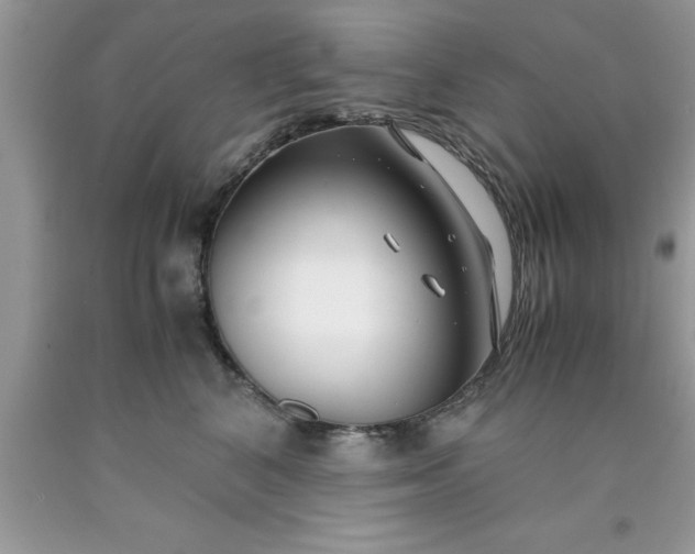 X0000090450616200707272217