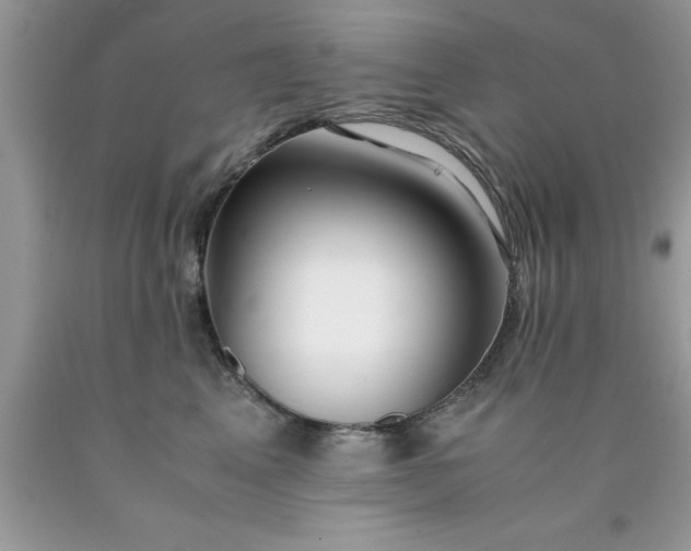 X0000090450617200707272217