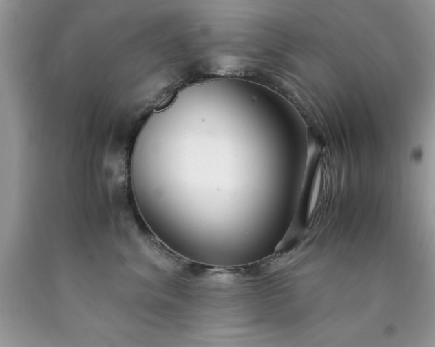 X0000090450620200707272217