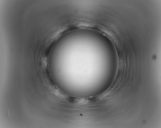 X0000090450621200707272217