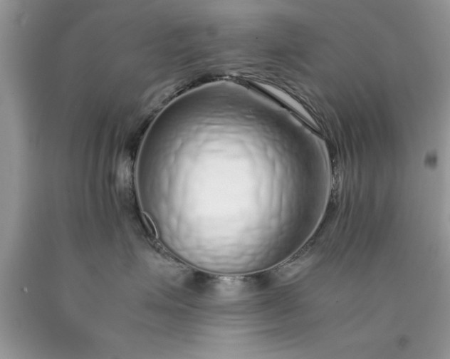 X0000090450623200707272217