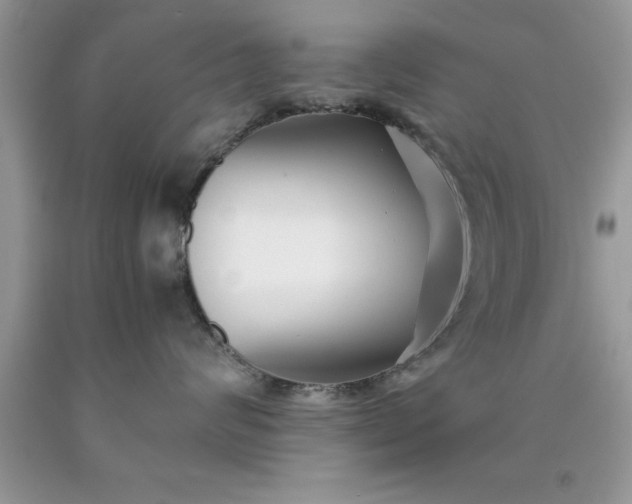 X0000090450624200707272217