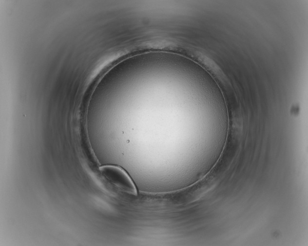 X0000090450626200707272216