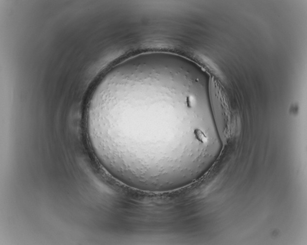 X0000090450627200707272216