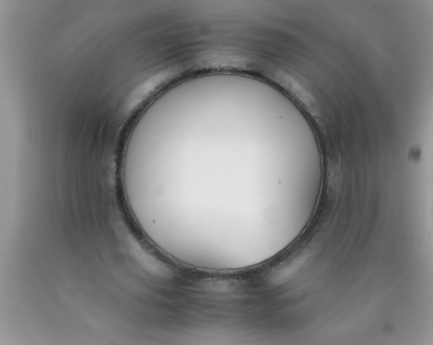 X0000090450629200707272216