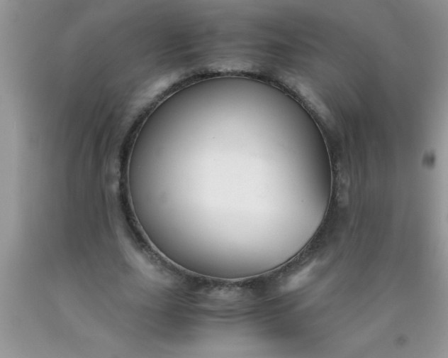 X0000090450631200707272216