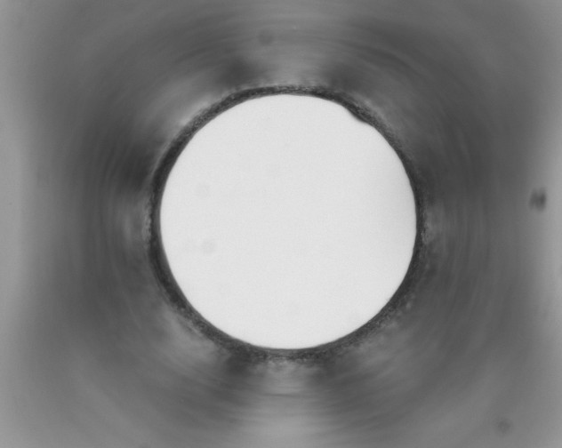 X0000090450632200707272216