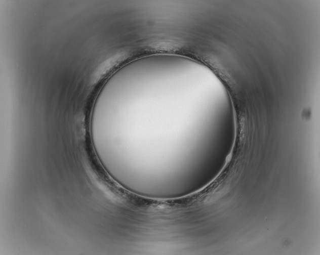 X0000090450634200707272216