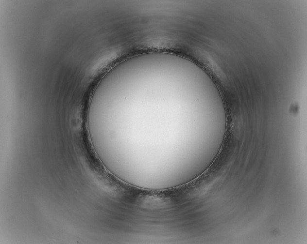 X0000090450635200707272216