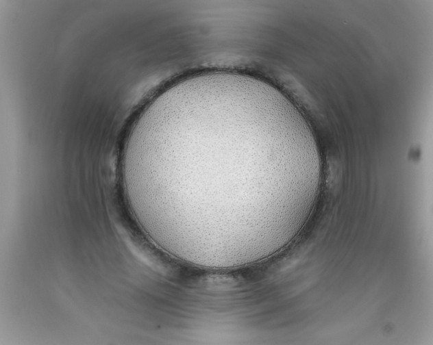 X0000090450636200707272216