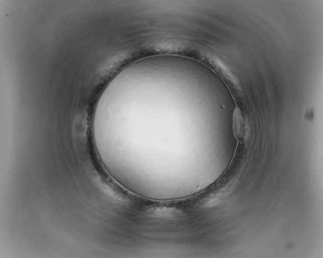 X0000090450637200707272216