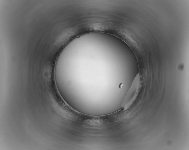 X0000090450639200707272216