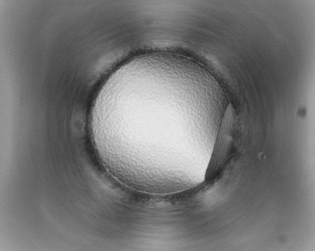 X0000090450640200707272216