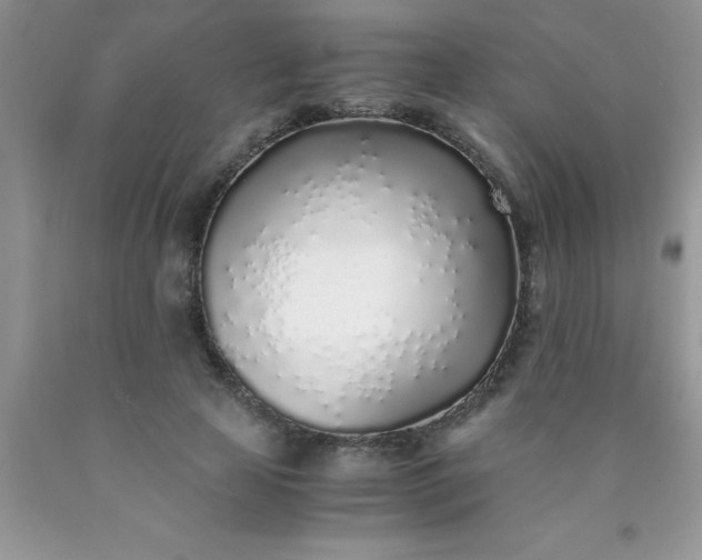 X0000090450641200707272216