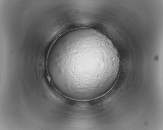 X0000090450642200707272216