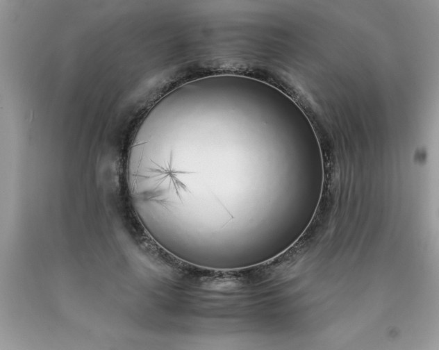 X0000090450643200707272216