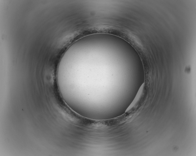 X0000090450644200707272216