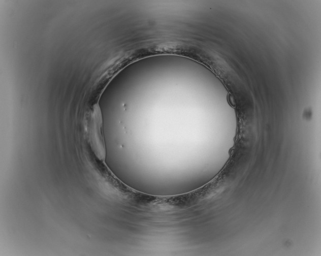 X0000090450648200707272216