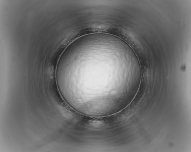 X0000090450649200707272216