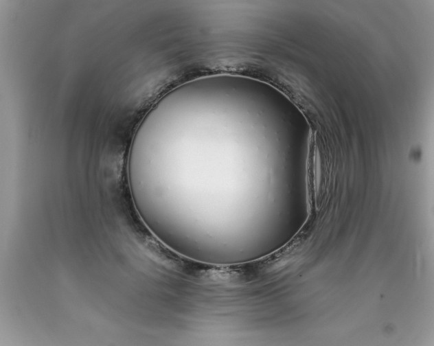 X0000090450652200707272216