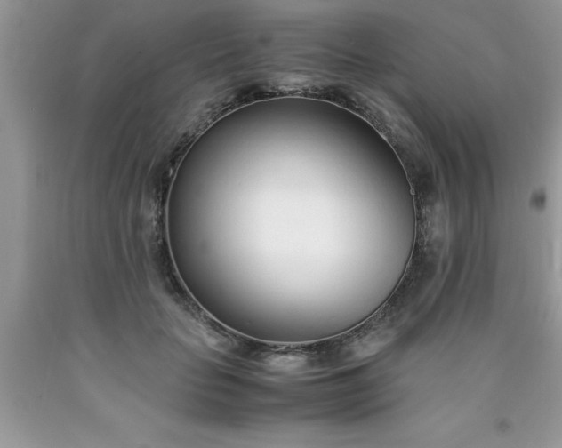 X0000090450653200707272216