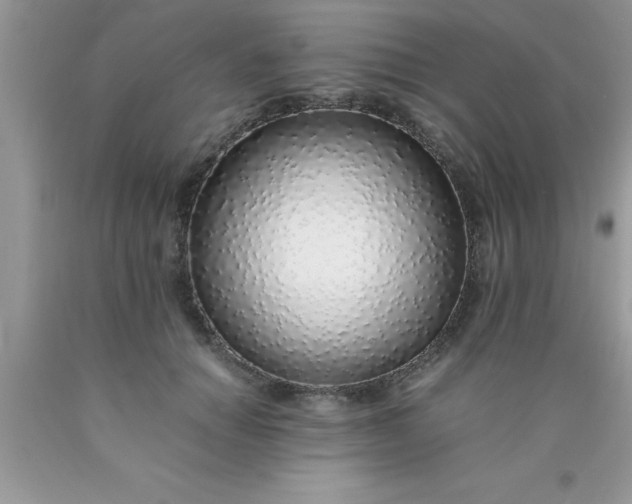 X0000090450654200707272216