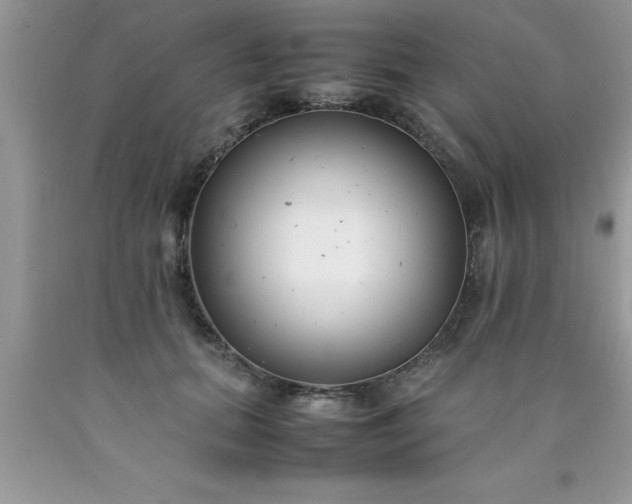 X0000090450655200707272216