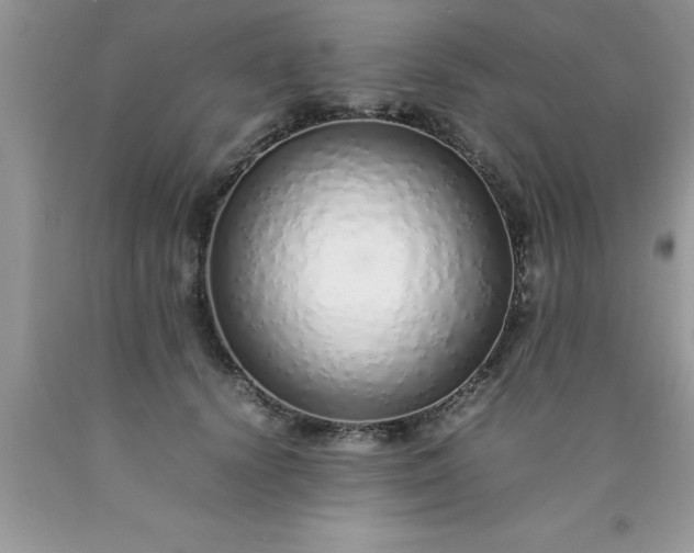 X0000090450656200707272216