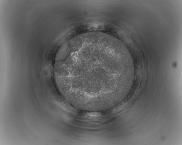 X0000090450659200707272216