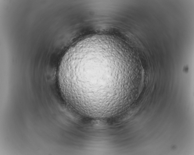 X0000090450660200707272216