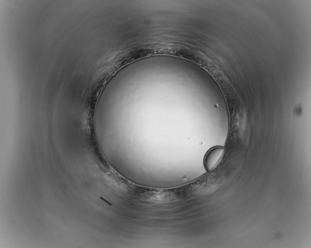 X0000090450663200707272217