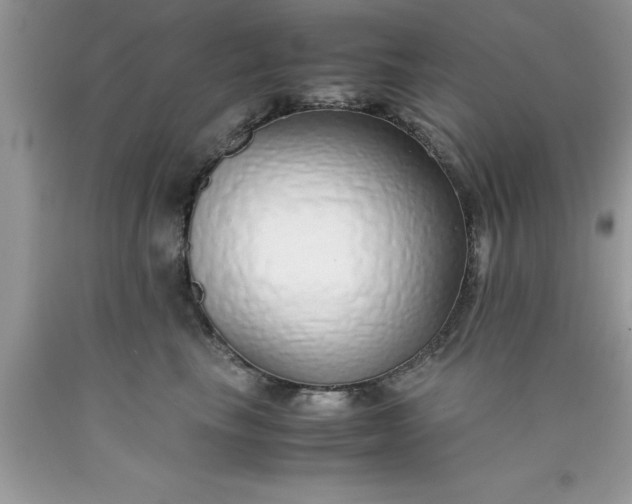 X0000090450665200707272217