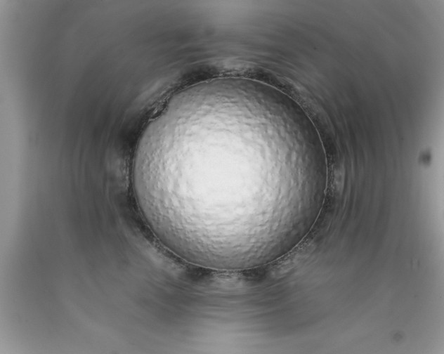 X0000090450666200707272217