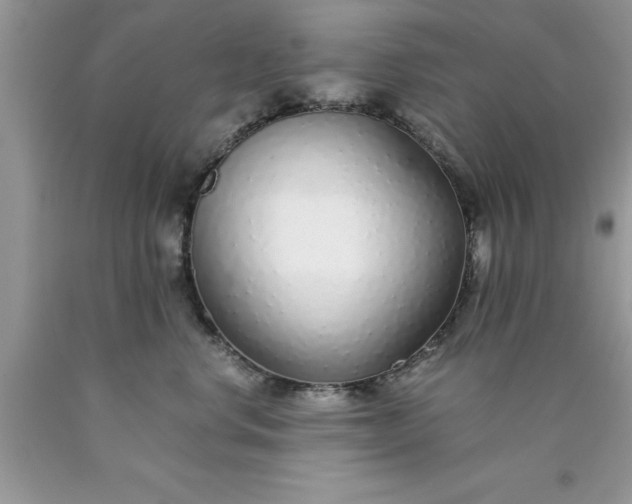 X0000090450668200707272217