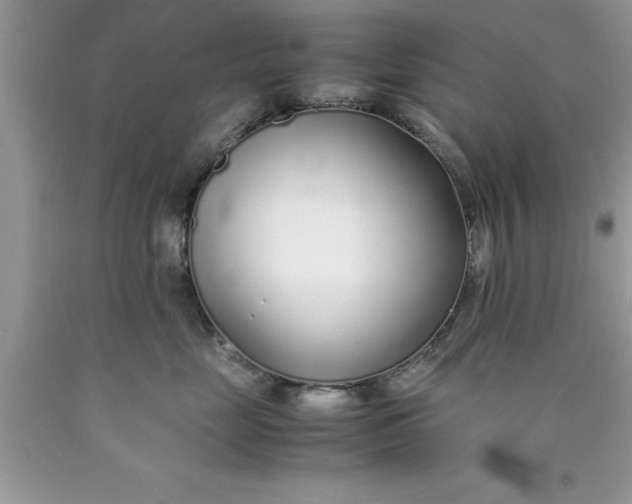 X0000090450669200707272217