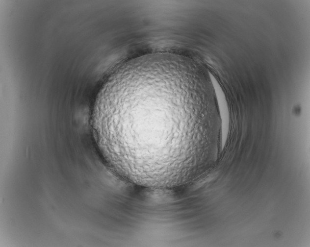 X0000090450670200707272217