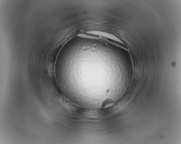 X0000090450671200707272217