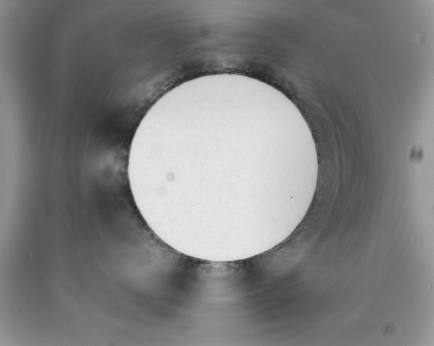 X0000090450672200707272217