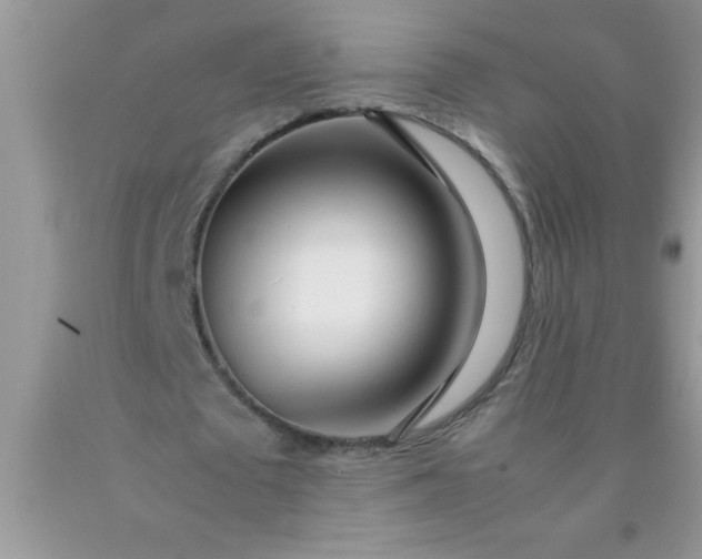 X0000090450673200707272216