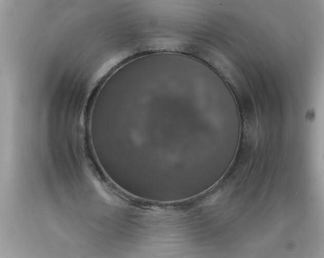 X0000090450674200707272216