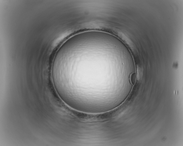 X0000090450675200707272216