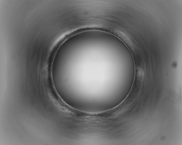 X0000090450676200707272216