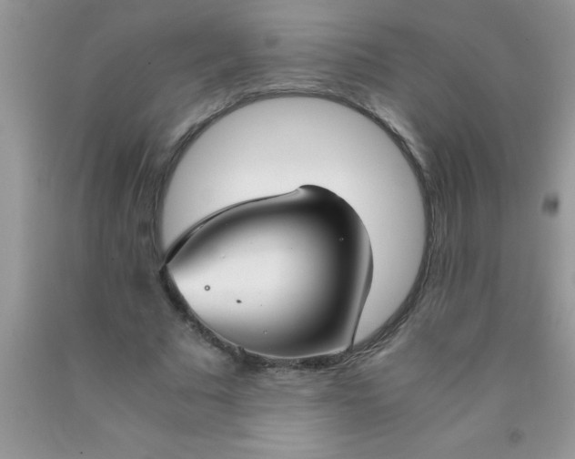 X0000090450681200707272216