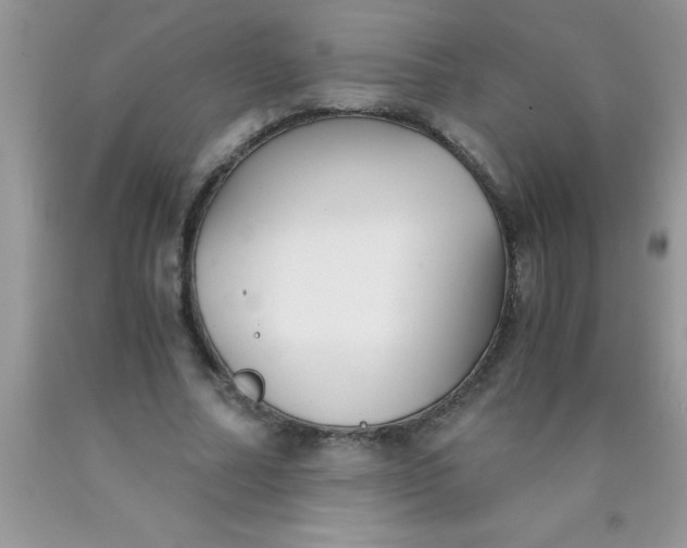 X0000090450682200707272216